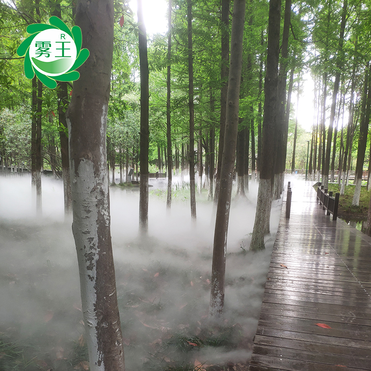 江苏公园雾森系统设计